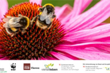innovate4nature 250 bearbeitet 1